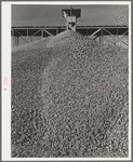 Gravel to be used in construction of Shasta Dam. Shasta County, California