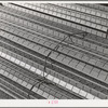 Reinforcing steel to be used in construction of Shasta Dam. Shasta County, California
