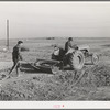 Mr. Palmer and son level land where farm buildings will be. Canyon County, Idaho. He has a FSA (Farm Security Administration) real estate loan which will enable him to put up house, etc