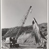 Moving a section of the rubber belt conveyor which brings gravel to Shasta Dam. Shasta County, California