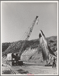 Moving a section of the rubber belt conveyor which brings gravel to Shasta Dam. Shasta County, California