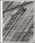 Construction work on face of Shasta Dam. Shasta County, California