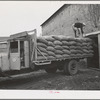 Petaluma, Sonoma County, California. Loading feed onto a truck at a warehouse