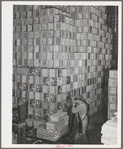 Petaluma, Sonoma County, California. Crates for eggs. Petaluma, which is the center of the intensive egg producing area, calls itself "the world's egg basket"