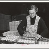 Petaluma, Sonoma County, California. Packing eggs into cartons