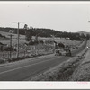 Sonoma County, California. Highway through the chicken ranch country