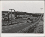 Sonoma County, California. Highway through the chicken ranch country