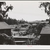 Petaluma, Sonoma County, California (vicinity). Chicken houses dot the landscape