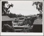 Petaluma, Sonoma County, California (vicinity). Chicken houses dot the landscape