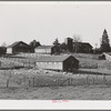 Petaluma, Sonoma County, California. Chicken houses