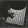 Petaluma, Sonoma County, California. Inspecting pedigreed eggs under a blue light to examine the texture and detect cracks. These eggs are produced for breeding purposes and worth at least one dollar each