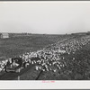 Sonoma County, California. Feeding chickens on a ranch