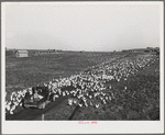 Sonoma County, California. Feeding chickens on a ranch