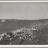 Sonoma County, California. Feeding chickens on a ranch