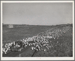 Sonoma County, California. Feeding chickens on a ranch