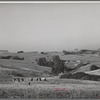 Sonoma County, California. Chicken ranches in the rolling hills