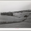 Sonoma County, California. Low rolling hills are typical of this country