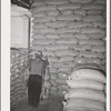 Petaluma, Sonoma County, California. Sacks of feed in warehouse