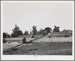 Sonoma County, California. Chicken houses on a ranch