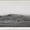 Sonoma County, California. Chicken ranch