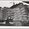 Petaluma, Sonoma County, California. Loading sacks of chicken feed onto truck at a feed mill