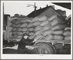 Petaluma, Sonoma County, California. Loading sacks of chicken feed onto truck at a feed mill