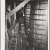 Sonoma County, California. Casks of aging wine