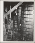 Sonoma County, California. Casks of aging wine