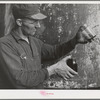 Workman with samples of "soap" oil made from olives. The "soap" oil is a thick, dark green oil. Strathmore, California