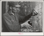 Workman with samples of "soap" oil made from olives. The "soap" oil is a thick, dark green oil. Strathmore, California