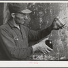 Workman with samples of "soap" oil made from olives. The "soap" oil is a thick, dark green oil. Strathmore, California