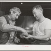 Two Maselli brothers, Californians who grow olives, make olive oil, and also pickle olives. Strathmore, California