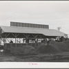 A byproducts plant in olive oil industry. The mounds are the pomace left after "soap" oil is extracted. This pomace has some value as a fertilizer. Strathmore, California