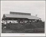 A byproducts plant in olive oil industry. The mounds are the pomace left after "soap" oil is extracted. This pomace has some value as a fertilizer. Strathmore, California