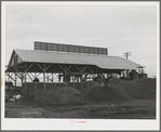 A byproducts plant in olive oil industry. The mounds are the pomace left after "soap" oil is extracted. This pomace has some value as a fertilizer. Strathmore, California