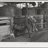 Shoveling out pomace from tanks where the "soap" oil has been extracted by means of a solvent. This pomace has some value as a fertilizer. About five percent of the total oil content of olives is "soap" oil. Strathmore, California