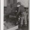 Olives are washed and warmed before they are crushed and pressed for their oil. Lindsay, California. Half of California's annual crop of 44,000 tons of olives is used in the production of oil