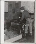 Olives are washed and warmed before they are crushed and pressed for their oil. Lindsay, California. Half of California's annual crop of 44,000 tons of olives is used in the production of oil