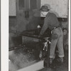 Olives are washed and warmed before they are crushed and pressed for their oil. Lindsay, California. Half of California's annual crop of 44,000 tons of olives is used in the production of oil