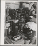 Centrifuges are used to separate the olive oil from water. Lindsay, California