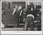 Bags of olive pulp which will be put under hydraulic pressure to extract the oil. Lindsay, California