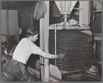 Hydraulic pressure is applied to bags of crushed olives to force out the oil. The first pressing extracts about seventy-five percent of the entire oil content. This is fine virgin olive oil. Lindsay, California