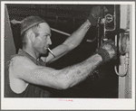 Lindsay, California. The pressure of the olive press must be carefully watched, for different degrees of pressure are prescribed for the two pressings. The first yields the virgin oil, about twenty-five percent of the total oil content of the olives;