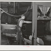 Bags full of crushed olives are put into hydraulic press for oil extraction. Lindsay, California