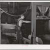 Bags full of crushed olives are put into hydraulic press for oil extraction. Lindsay, California