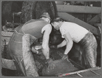 Workmen put crushed olives into heavy bags which will be put under hydraulic pressure to extract the oil. It takes an average of fifty-six pounds of olives to make a gallon of oil. Lindsay, California