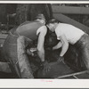 Workmen put crushed olives into heavy bags which will be put under hydraulic pressure to extract the oil. It takes an average of fifty-six pounds of olives to make a gallon of oil. Lindsay, California