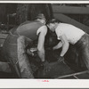 Workmen put crushed olives into heavy bags which will be put under hydraulic pressure to extract the oil. It takes an average of fifty-six pounds of olives to make a gallon of oil. Lindsay, California