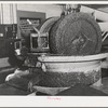 A granite millstone crushes the olives which have first been washed and warmed. This is the first step in making olive oil. Lindsay, California