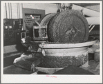 A granite millstone crushes the olives which have first been washed and warmed. This is the first step in making olive oil. Lindsay, California